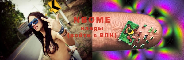 индика Богородицк