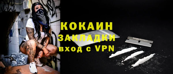 индика Богородицк