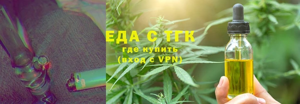 индика Богородицк