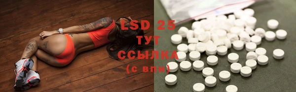 индика Богородицк