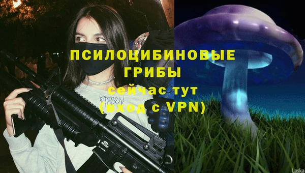 соль курить ск Богданович