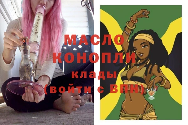 индика Богородицк
