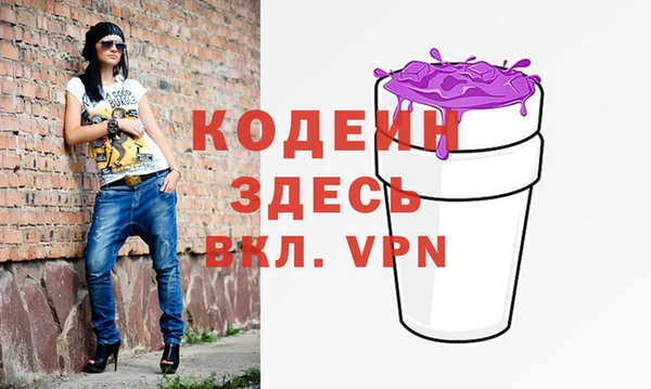 индика Богородицк