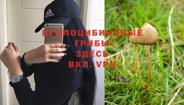 каннабис Бородино