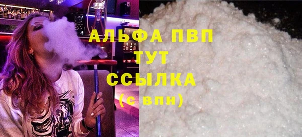 индика Богородицк