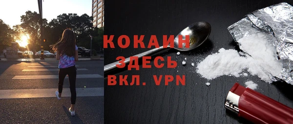 индика Богородицк