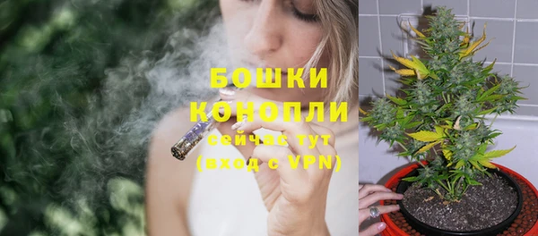 индика Богородицк