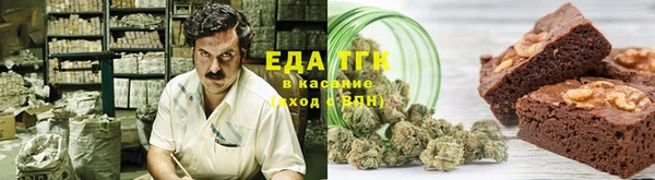 индика Богородицк