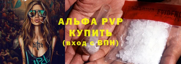 индика Богородицк