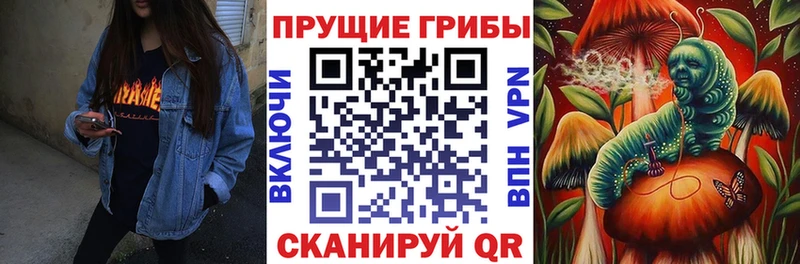 Галлюциногенные грибы GOLDEN TEACHER  Купить закладки  Осташков 